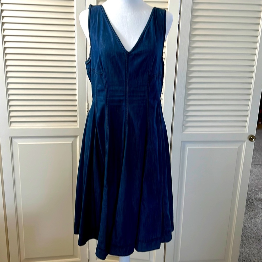 Denim Holding Horses Anthropologie V-neck fit and flair dress.